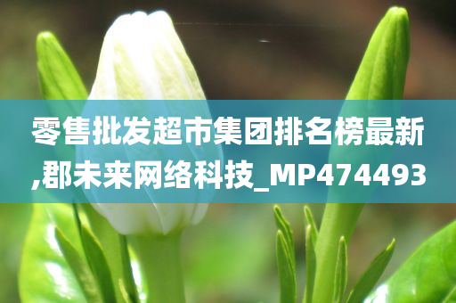 零售批发超市集团排名榜最新,郡未来网络科技_MP474493