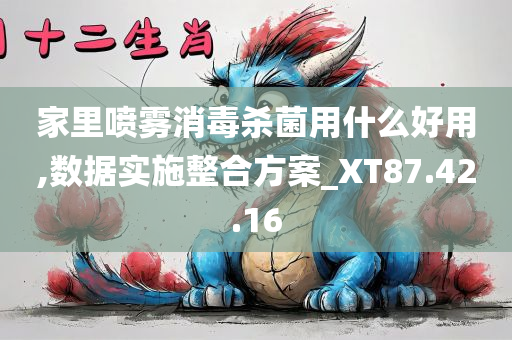 家里喷雾消毒杀菌用什么好用,数据实施整合方案_XT87.42.16