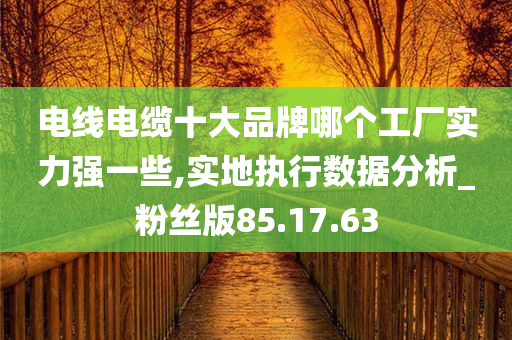 电线电缆十大品牌哪个工厂实力强一些,实地执行数据分析_粉丝版85.17.63