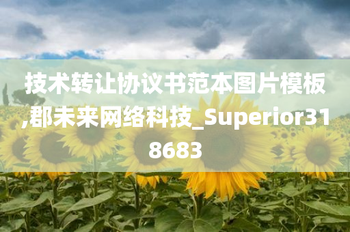 技术转让协议书范本图片模板,郡未来网络科技_Superior318683