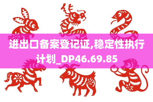 进出口备案登记证,稳定性执行计划_DP46.69.85