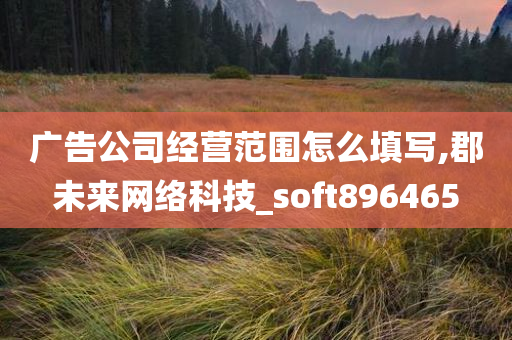 广告公司经营范围怎么填写,郡未来网络科技_soft896465