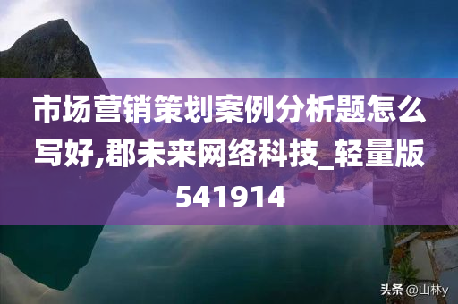 市场营销策划案例分析题怎么写好,郡未来网络科技_轻量版541914