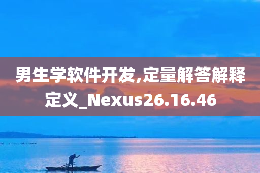 男生学软件开发,定量解答解释定义_Nexus26.16.46