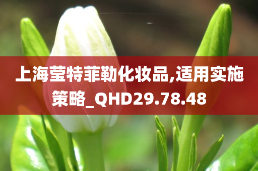 上海莹特菲勒化妆品,适用实施策略_QHD29.78.48