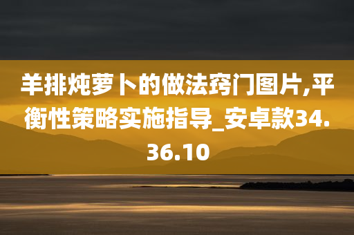 羊排炖萝卜的做法窍门图片,平衡性策略实施指导_安卓款34.36.10