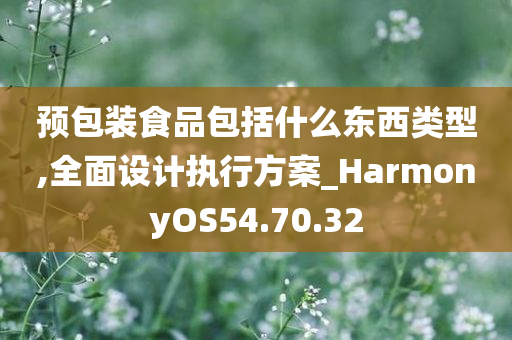 预包装食品包括什么东西类型,全面设计执行方案_HarmonyOS54.70.32