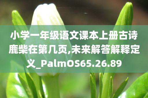 小学一年级语文课本上册古诗鹿柴在第几页,未来解答解释定义_PalmOS65.26.89