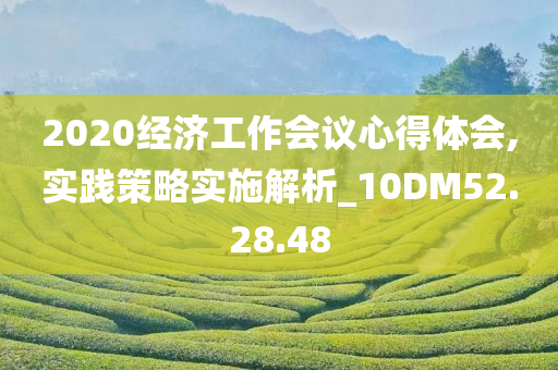 2020经济工作会议心得体会,实践策略实施解析_10DM52.28.48