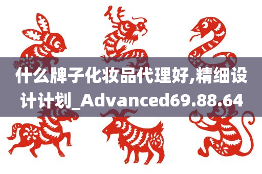 什么牌子化妆品代理好,精细设计计划_Advanced69.88.64