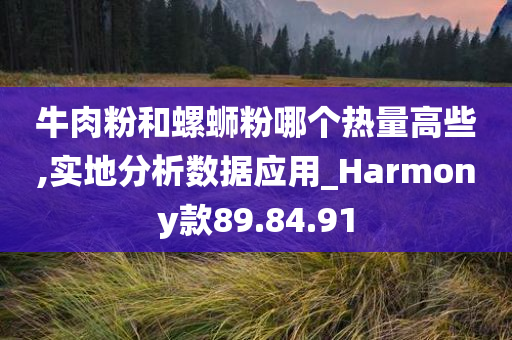 牛肉粉和螺蛳粉哪个热量高些,实地分析数据应用_Harmony款89.84.91