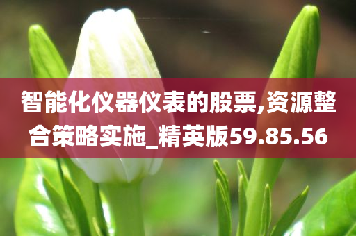 智能化仪器仪表的股票,资源整合策略实施_精英版59.85.56