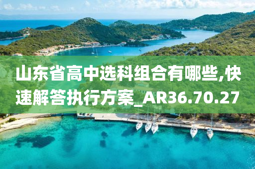 山东省高中选科组合有哪些,快速解答执行方案_AR36.70.27