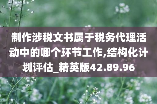 制作涉税文书属于税务代理活动中的哪个环节工作,结构化计划评估_精英版42.89.96