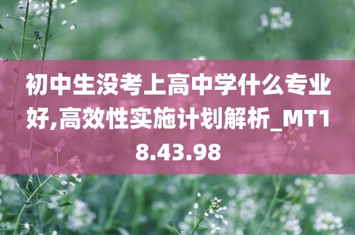 初中生没考上高中学什么专业好,高效性实施计划解析_MT18.43.98