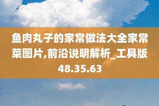 鱼肉丸子的家常做法大全家常菜图片,前沿说明解析_工具版48.35.63