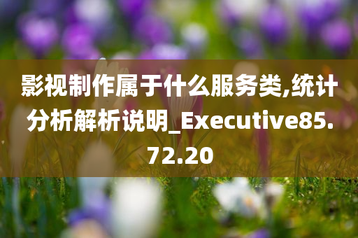 影视制作属于什么服务类,统计分析解析说明_Executive85.72.20