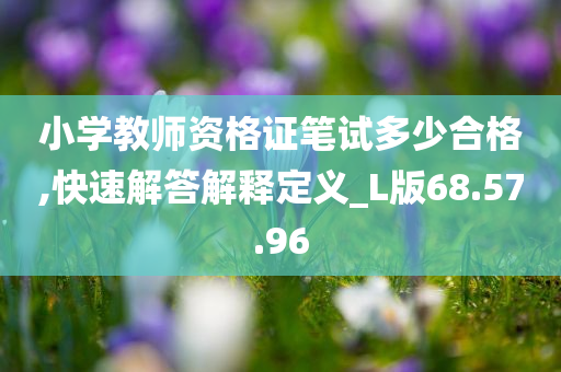 小学教师资格证笔试多少合格,快速解答解释定义_L版68.57.96