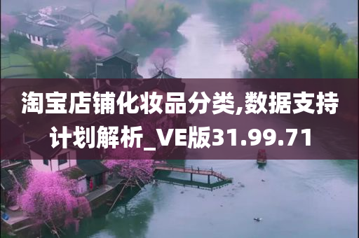 淘宝店铺化妆品分类,数据支持计划解析_VE版31.99.71