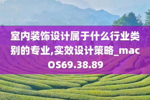 室内装饰设计属于什么行业类别的专业,实效设计策略_macOS69.38.89