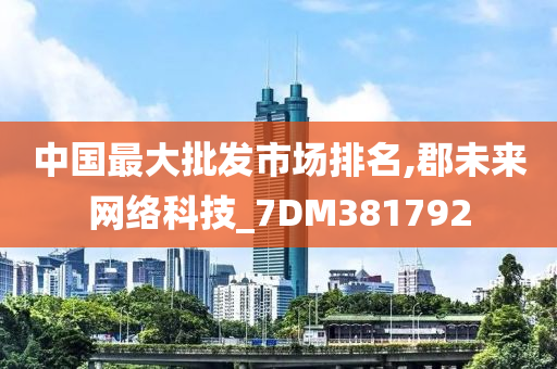 中国最大批发市场排名,郡未来网络科技_7DM381792