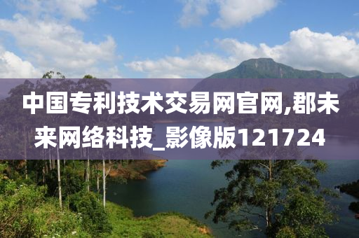 中国专利技术交易网官网,郡未来网络科技_影像版121724