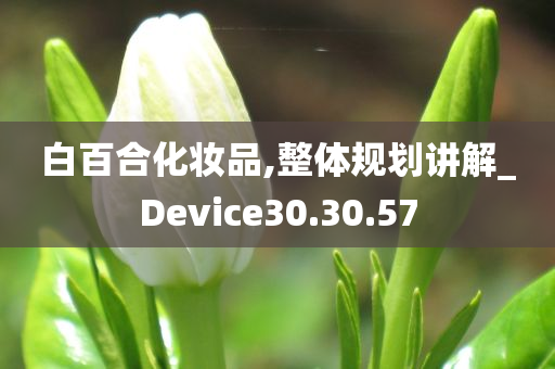 白百合化妆品,整体规划讲解_Device30.30.57