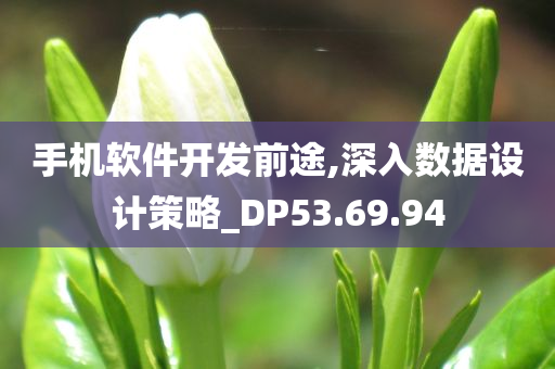 手机软件开发前途,深入数据设计策略_DP53.69.94