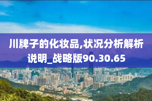 川牌子的化妆品,状况分析解析说明_战略版90.30.65