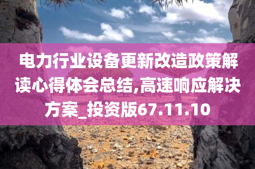 电力行业设备更新改造政策解读心得体会总结,高速响应解决方案_投资版67.11.10