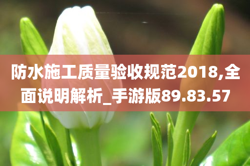 防水施工质量验收规范2018,全面说明解析_手游版89.83.57