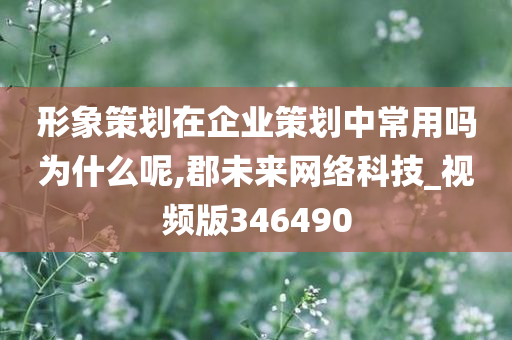 形象策划在企业策划中常用吗为什么呢,郡未来网络科技_视频版346490