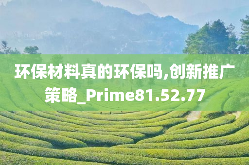 环保材料真的环保吗,创新推广策略_Prime81.52.77