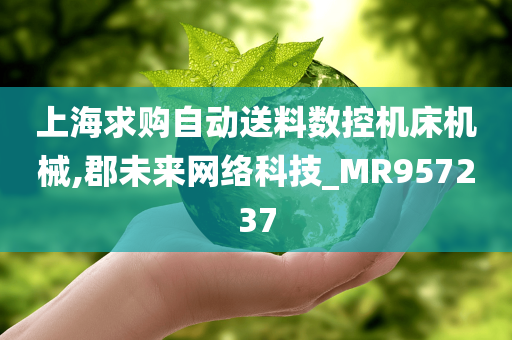 上海求购自动送料数控机床机械,郡未来网络科技_MR957237