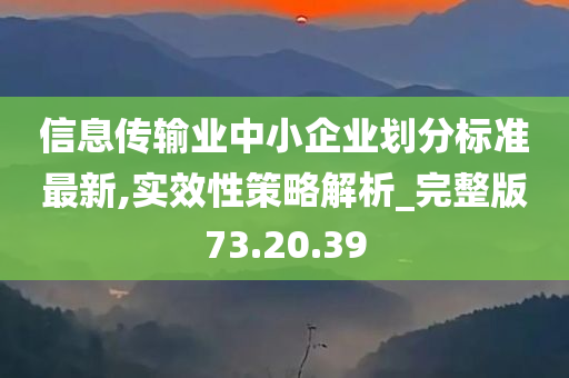 信息传输业中小企业划分标准最新,实效性策略解析_完整版73.20.39