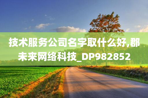 技术服务公司名字取什么好,郡未来网络科技_DP982852