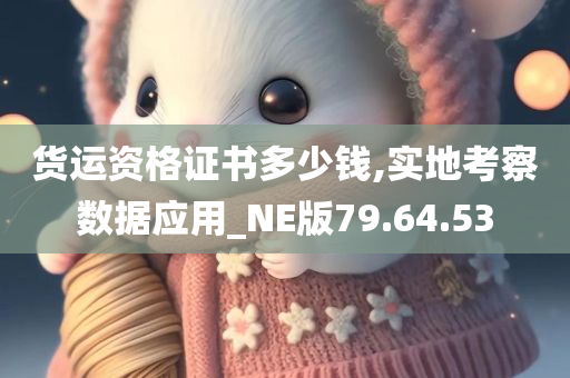 货运资格证书多少钱,实地考察数据应用_NE版79.64.53