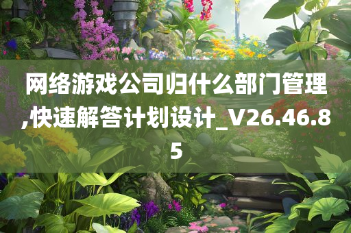 网络游戏公司归什么部门管理,快速解答计划设计_V26.46.85