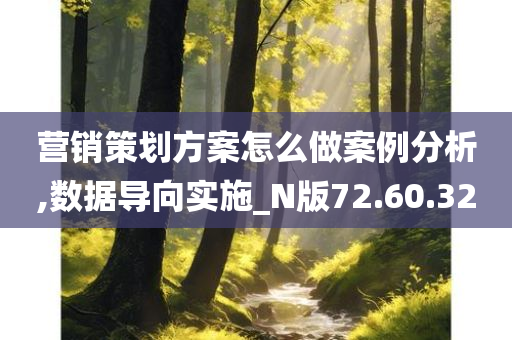 营销策划方案怎么做案例分析,数据导向实施_N版72.60.32