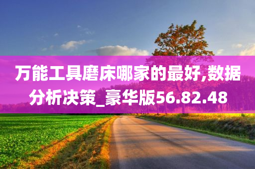 万能工具磨床哪家的最好,数据分析决策_豪华版56.82.48