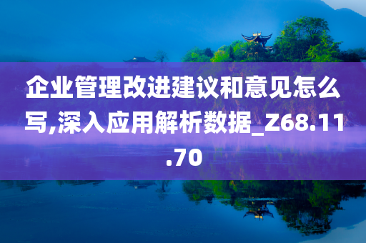 企业管理改进建议和意见怎么写,深入应用解析数据_Z68.11.70