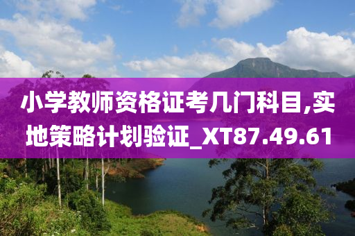 小学教师资格证考几门科目,实地策略计划验证_XT87.49.61