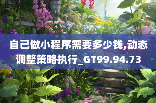 自己做小程序需要多少钱,动态调整策略执行_GT99.94.73