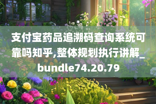 支付宝药品追溯码查询系统可靠吗知乎,整体规划执行讲解_bundle74.20.79