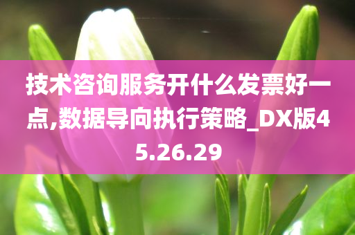 技术咨询服务开什么发票好一点,数据导向执行策略_DX版45.26.29