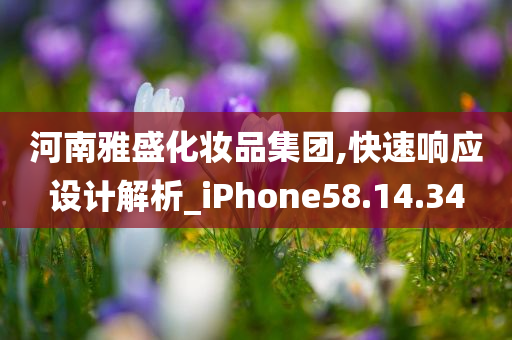 河南雅盛化妆品集团,快速响应设计解析_iPhone58.14.34