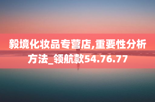 毅境化妆品专营店,重要性分析方法_领航款54.76.77