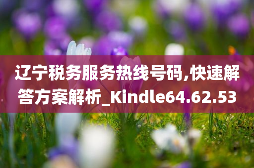 辽宁税务服务热线号码,快速解答方案解析_Kindle64.62.53