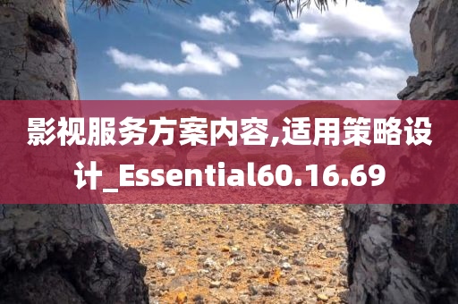 影视服务方案内容,适用策略设计_Essential60.16.69