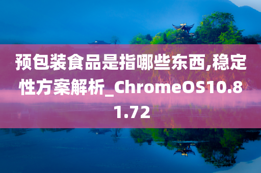 预包装食品是指哪些东西,稳定性方案解析_ChromeOS10.81.72